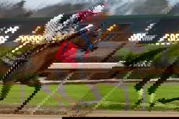 feature-image