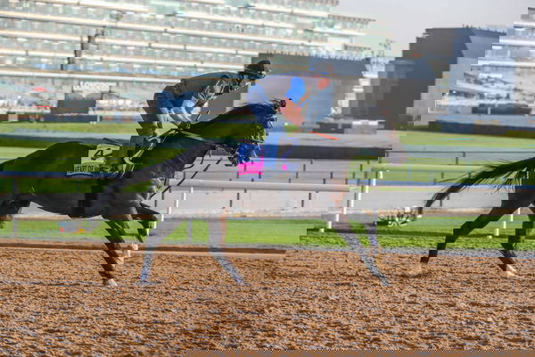feature-image