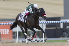 Horse Racing 2025: Dubai World Cup APR 05