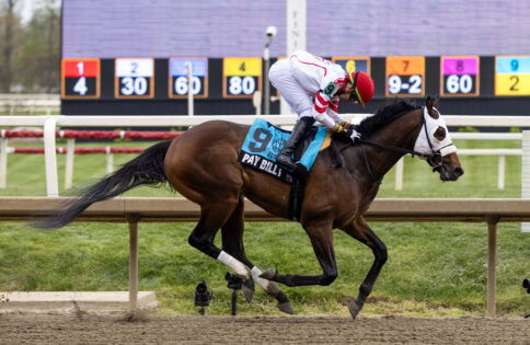 Who is Pay Billy ? Everything About the Preakness Stakes 2025 Horse: Owner, Trainer, Earnings and More