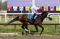 Horse Racing 2025: Preakness Preview Day APR 19