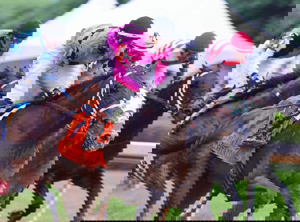 feature-image