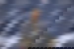 article-image