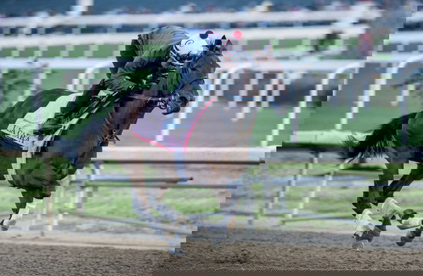 feature-image