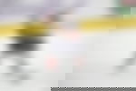article-image