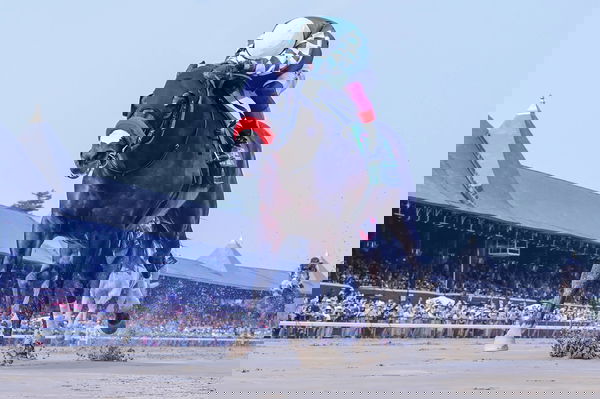 feature-image