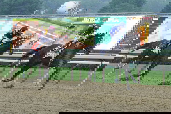 feature-image