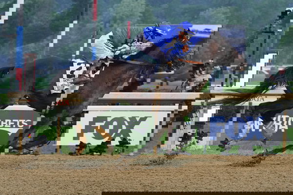 feature-image