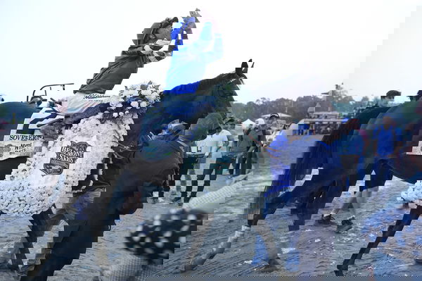 feature-image