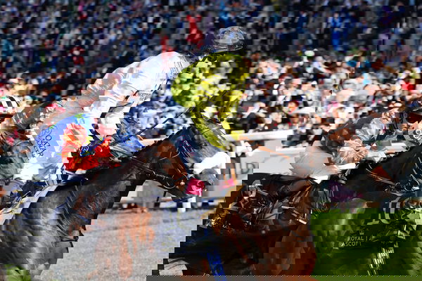 feature-image