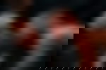 article-image