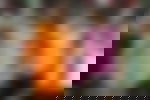 article-image