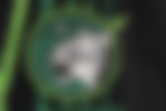 Minnesota Lynx Logo