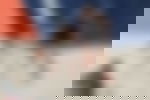 article-image
