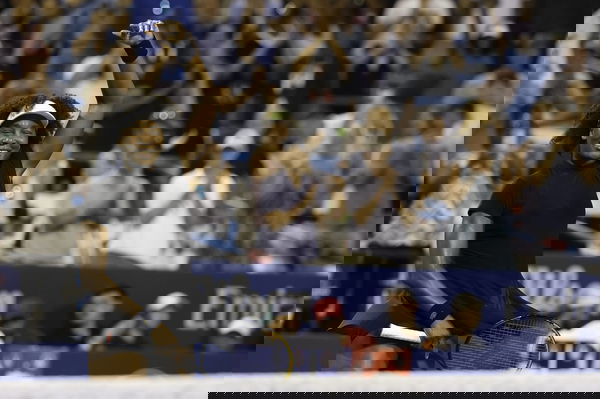 feature-image