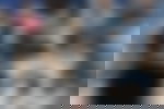 article-image