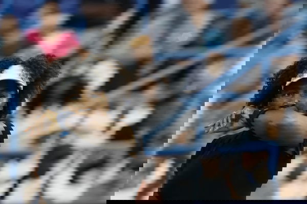 feature-image