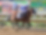 churchill downs, jockey