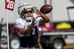 NFL: Atlanta Falcons Training Camp