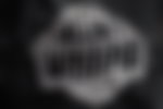 WNBPA Logo