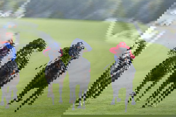 feature-image