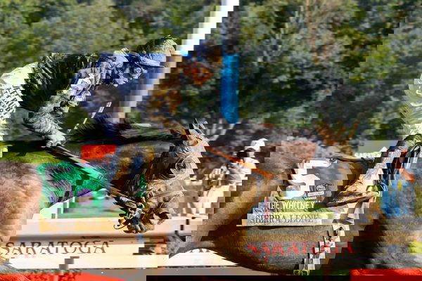 feature-image