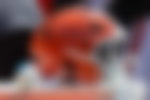 Image for Browns Reportedly Cut Dae’Quan Wright As LSU Agreement Clears Path for College
Football Return
