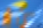 article-image