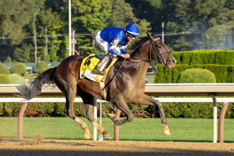 Bill Mott’s Honest Update on Sovereignty Can Be a Warning for Breeders’ Cup Competitors