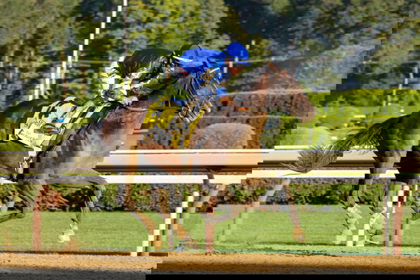 feature-image