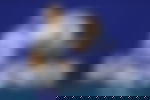 article-image
