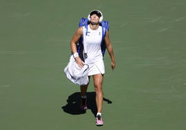 2025 US Open Tennis Championships in New York