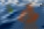 article-image