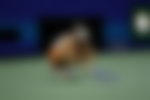 Image for “I Was Scared”- Marketa Vondrousova Finally Breaks Silence on Hidden Side of
ITIA’s Investigation