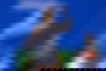 article-image