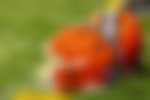 Image for “Please Help”: Browns Legend Seeks Urgent Information as U.S. Marshals Try to
Locate Missing Children