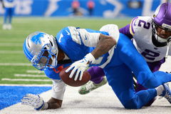 Minnesota Vikings vs Detroit Lions