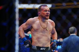 UFC 323 &#8211; Dvalishvili vs Yan 2