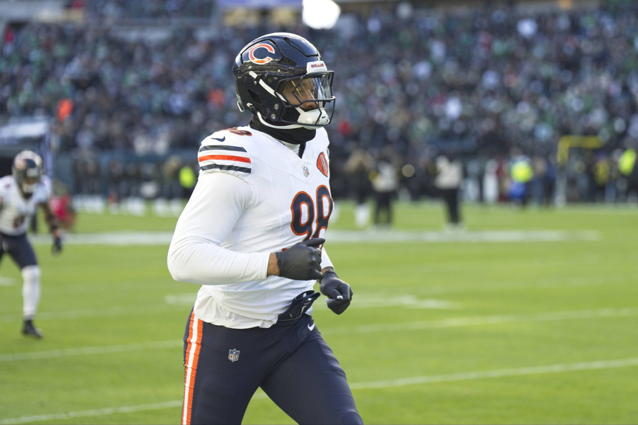 Bears