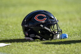 NFL: NOV 23 Steelers at Bears