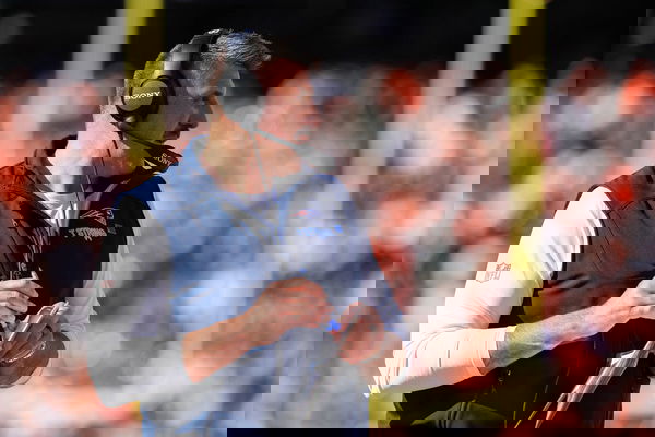 NFL: NOV 23 Patriots at Bengals