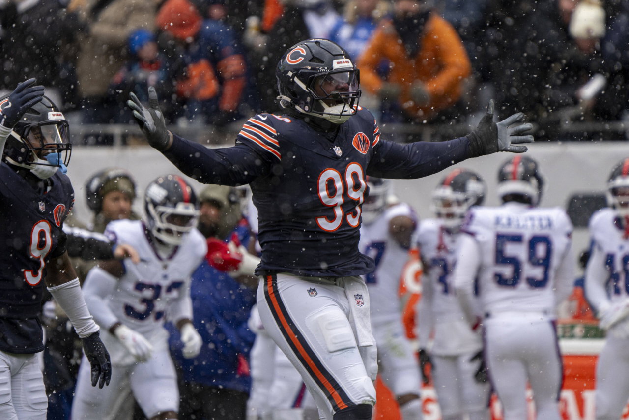 Bears