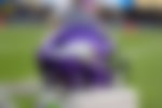 Minnesota Vikings