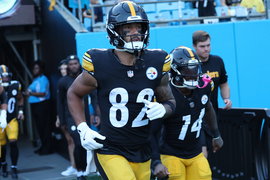 NFL: AUG 21 Preseason Steelers at Panthers