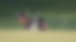 Thomas Pieters