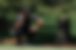 Patrick Reed
