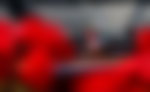 Image for Grand Slam Finalist Hints at Taking Up Another Sport After Earning Millions in
Tennis