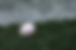 MLB