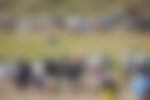 Image for What Is the Playoff Format at The Open 2026?