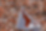Image for Cameras Catch Florida Athletes Quarreling With Texas Fan After Being Shown The
Finger